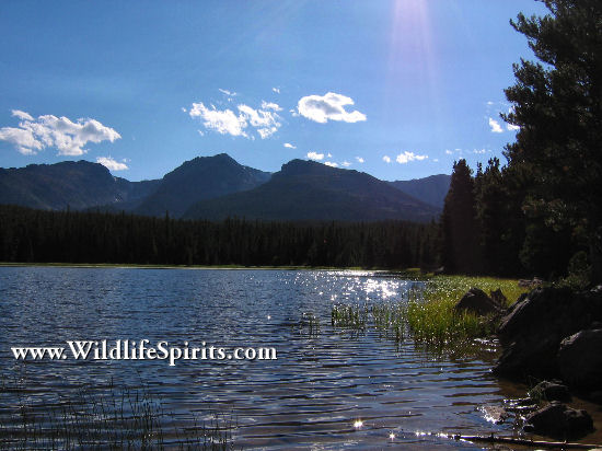 Click Picture to send as an  E-PostCard 63k 550x412